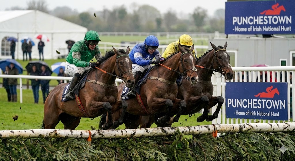 Punchestown Racecourse – Spring Is Coming