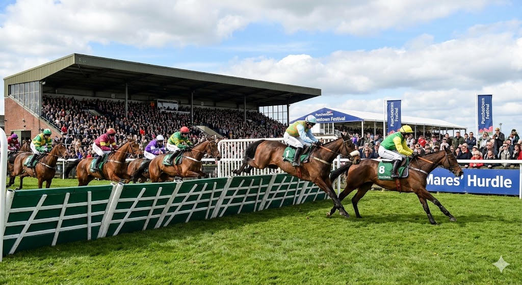 Naas Racecourse – January Jumps Meeting
